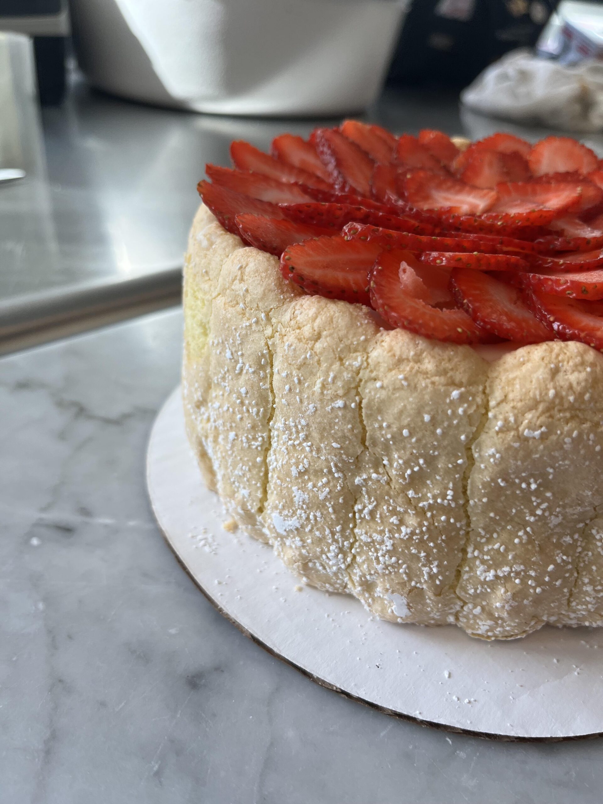 Ladyfingers base with Bavarian Cream Custard in detail